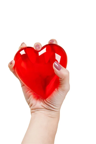 Coeur dans les mains isolé sur fond blanc — Photo