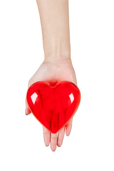 Heart in the hands isolated on white background — Stock Photo, Image
