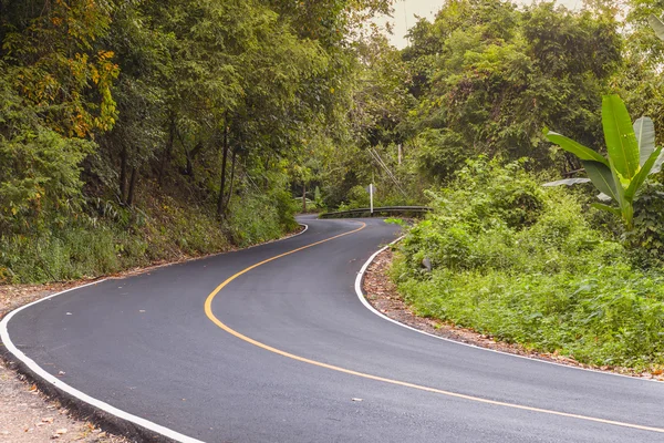 "S "strada asfaltata curva vista nella foresta — Foto Stock