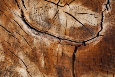 Eski Ahşap Arkaplan