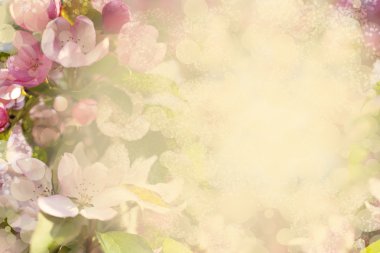 bulanık çiçeği arka plan