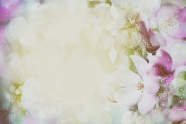 çiçeği renkli ve bulanık