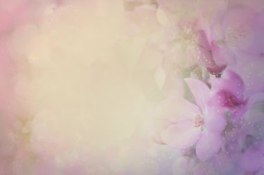 çiçeği renkli ve bulanık