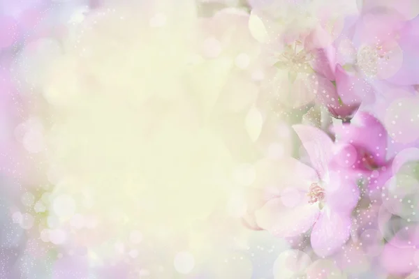 Färgglada och suddiga blossom — Stockfoto