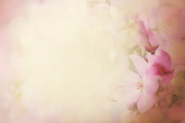 Färgglada och suddiga blossom — Stockfoto