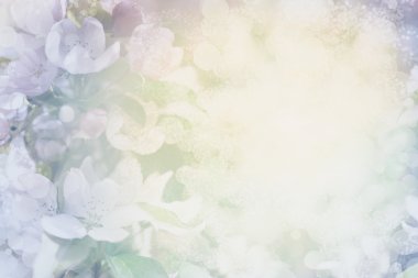 bulanık renkli çiçekler 