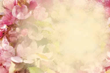 bulanık renkli çiçekler 