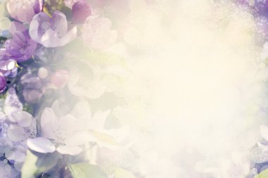 bulanık renkli çiçekler 