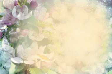 bulanık renkli çiçekler