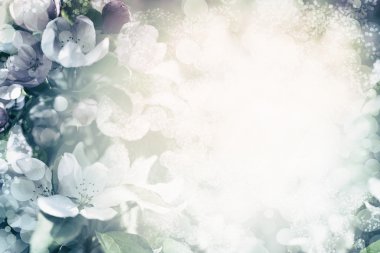 bulanık renkli çiçekler 