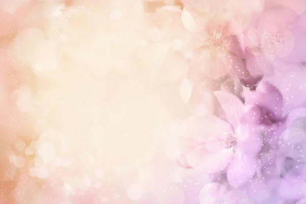Färgglada blossom bakgrund — Stockfoto