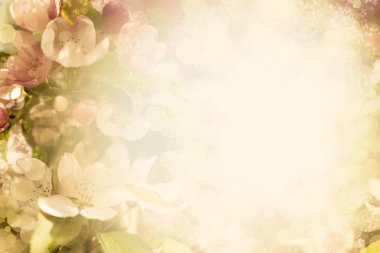 bulanık renkli çiçekler