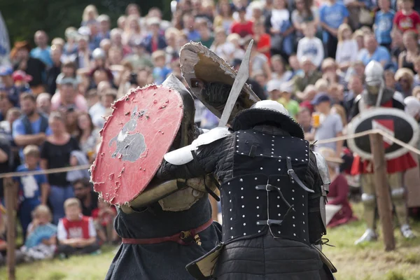 Tournoi des Chevaliers à Liw — Photo