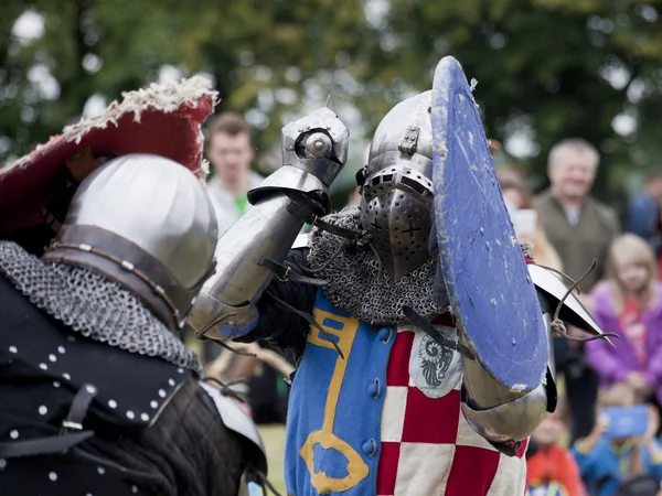 Tournoi des Chevaliers à Liw — Photo