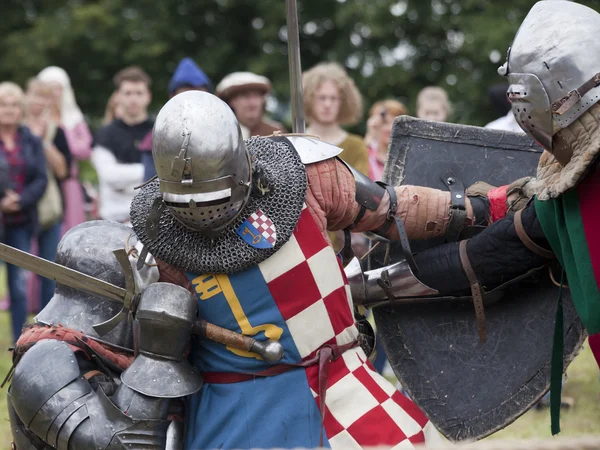 Tournoi des Chevaliers à Liw — Photo