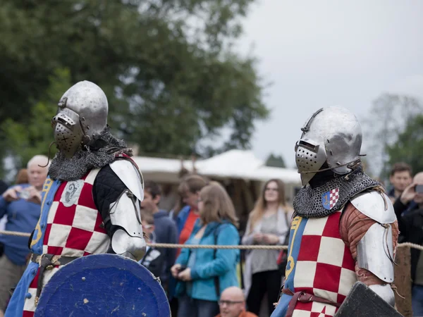 Tournoi des Chevaliers à Liw — Photo