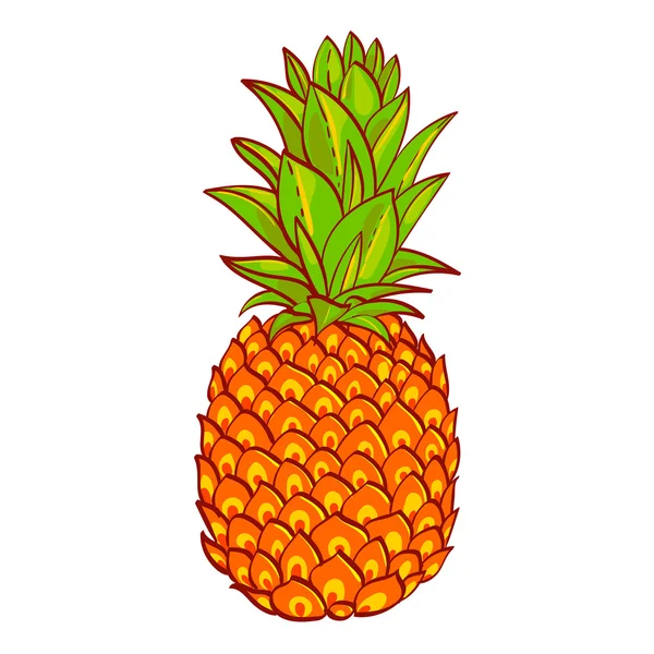 Featured image of post Pineapple Images Cartoon Affordable and search from millions of royalty free images photos drag image here