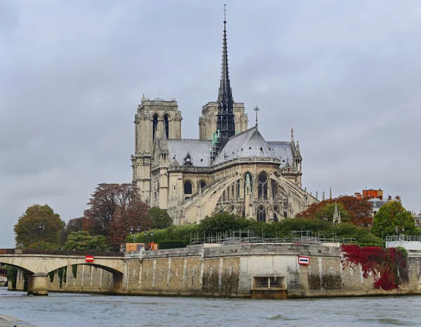 Cathédrale Notre Dame de Paris — Photo