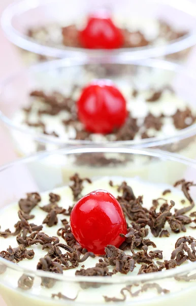 Італійський десерт шоколад Pannacotta. — стокове фото