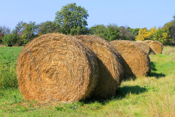 Hay rullar i fältet gård — Stockfoto