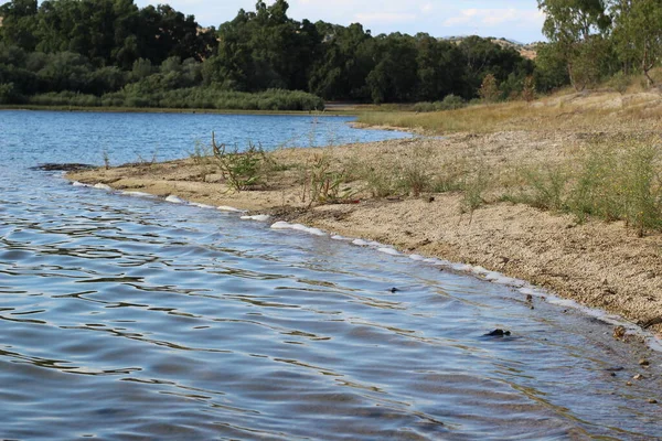 View Water River Sunny Summer Day — Stock Photo, Image