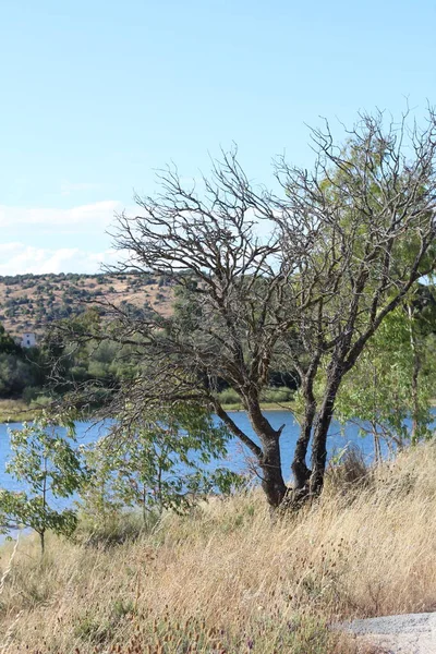 Hermosa Vista Lago Parque — Foto de Stock