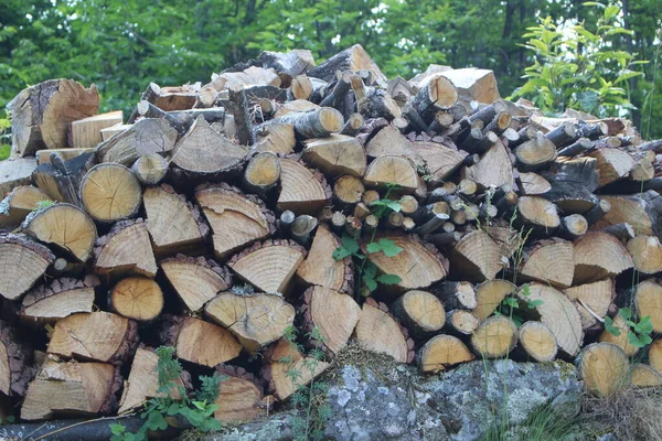 Troncos Madera Preparados Apilados Para Estufa —  Fotos de Stock