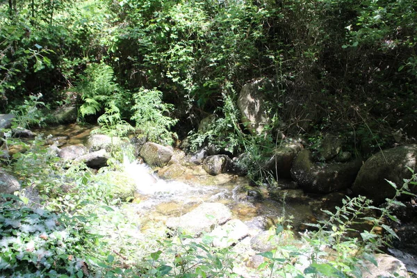 Cascade Dans Siera Gredos Paysage Naturel — Photo