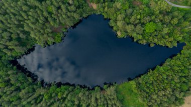 Güzel mavi dağ gölü ve yeşil orman üzerindeki hava manzarası