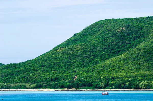 绿色的小岛和海洋自然景观 — 图库照片