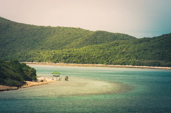 Green island and sea nature landscape vintage — Stock Photo, Image