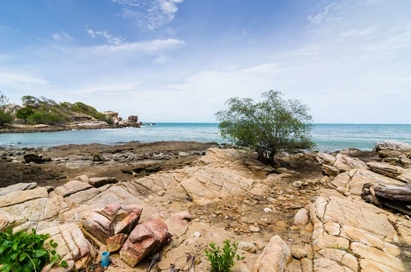 Praia Árvore e mar azul — Fotografia de Stock