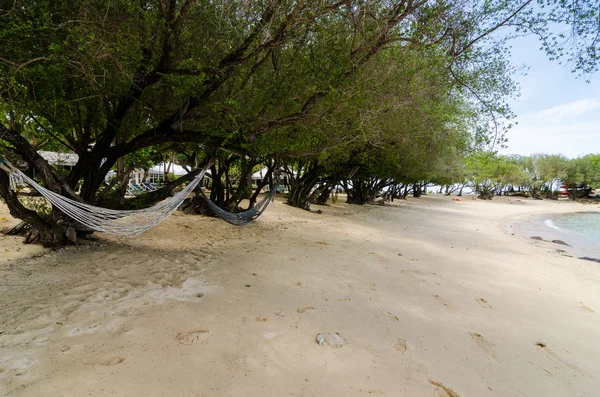 Playa Árbol y mar azul — Foto de Stock