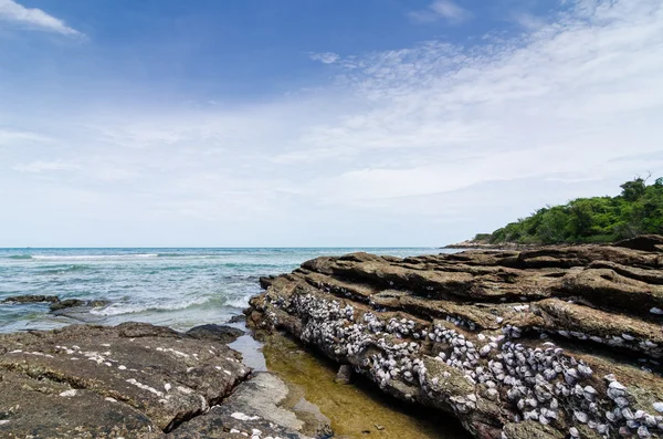 Beach and blue sea — Stock Photo, Image