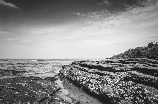 Strand en blauwe zee vintage — Stockfoto