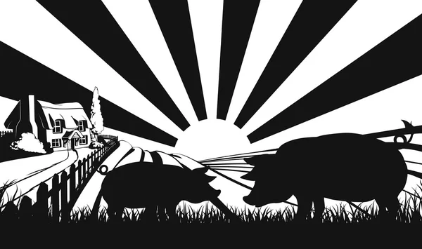 Varkens in silhouet in boerderij veld — Stockvector