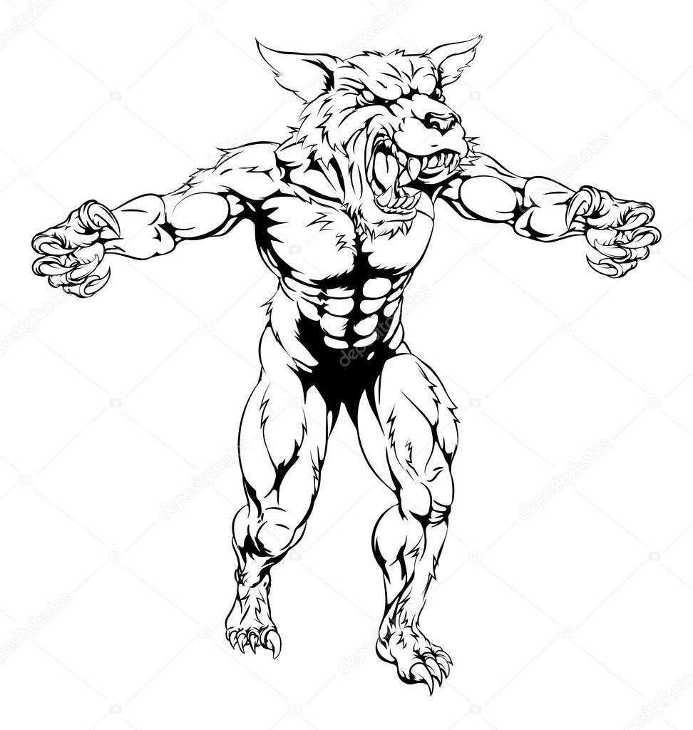 A black and white wolf man, werewolf or wolf sports mascot character with claws out