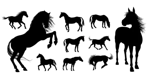 Siluetas de Caballo Ilustración — Vector de stock