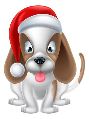 Noel Baba şapkası köpek yavrusu