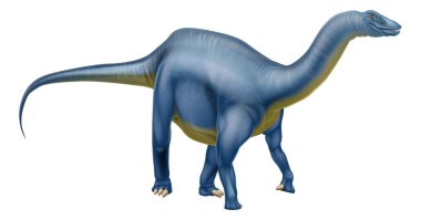 Diplodocus dinozor brachiosaurus gibi Dashanpu'daki aile ve diğer uzun boyunlu dinozorlar. Brontosaurus ne derdik
