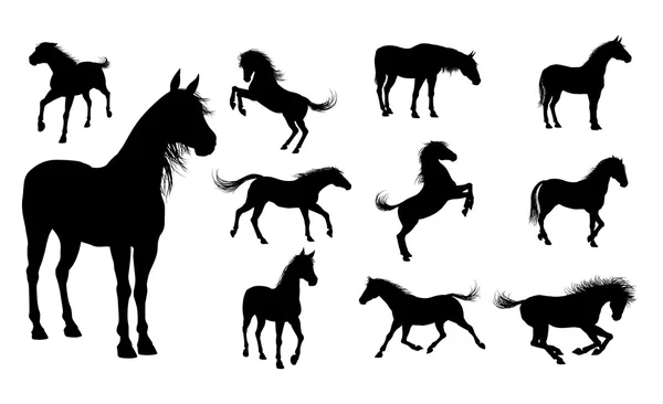 Un conjunto de siluetas de caballo detalladas de alta calidad — Vector de stock