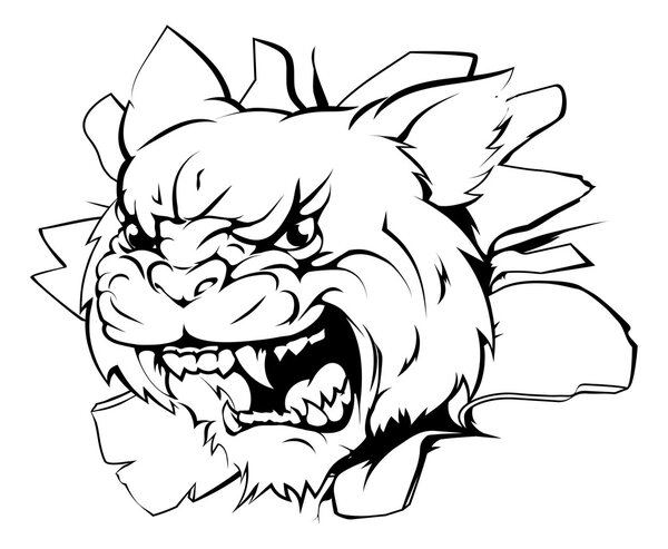 Нападение на голову дикой кошки
 