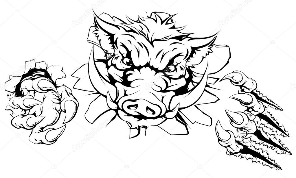 Boar claw breakthrough concept illustration of a boar mascot smashing out of the background