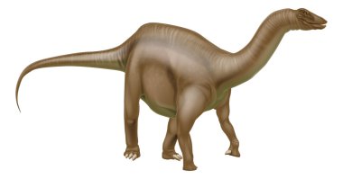 Diplodocus dinozor Dashanpu'daki