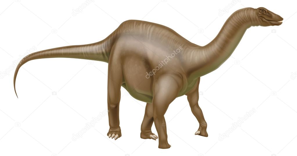 Diplodocus dinosaur sauropod
