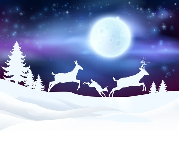 Vánoční zimní scéna — Stockový vektor