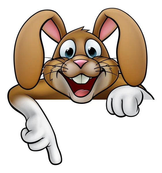Velikonoční králíček ukazuje — Stockový vektor