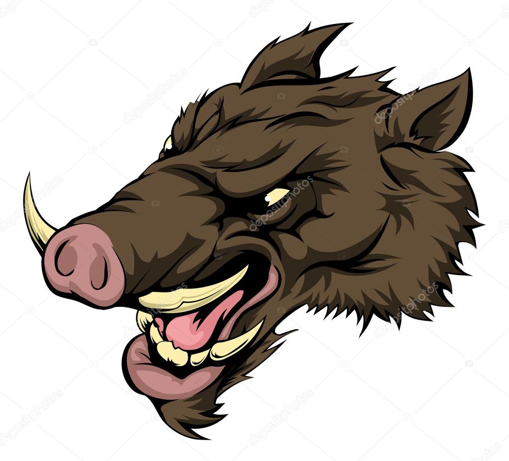 An illustration of a fierce boar animal character or sports mascot
