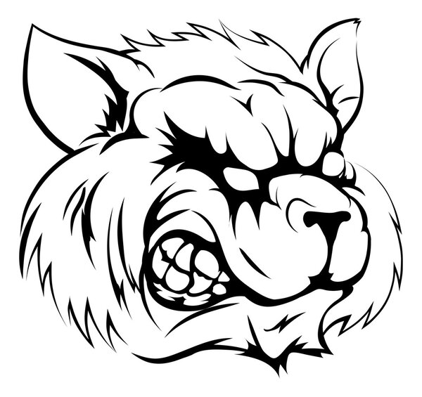 Персонаж талисмана енота
