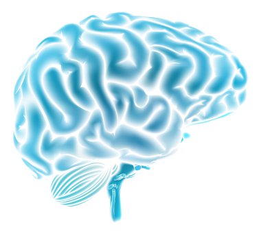 Parlak mavi beyin kavramı